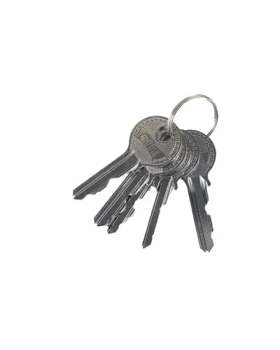 Електромоторний замок Atis LOCK IC RFID (автономний)