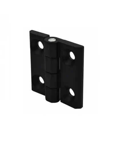 Петлі листові 50х50 мм RZ H1050.1.2.1 