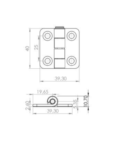 Петля накладна шарнірна із сталі RZ 420-2-V1, 40х40 мм